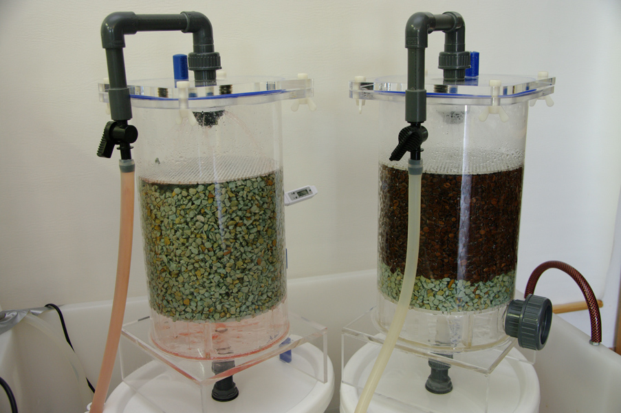 Generators in Operating State - Vinegar Making Workshop