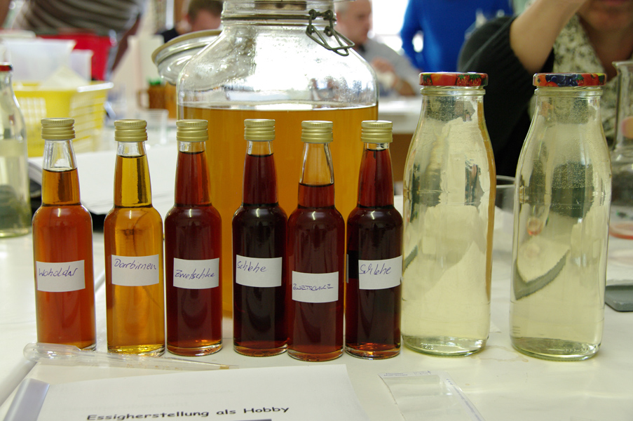 Several Vinegars and Two Starters - Vinegar Making Workshop