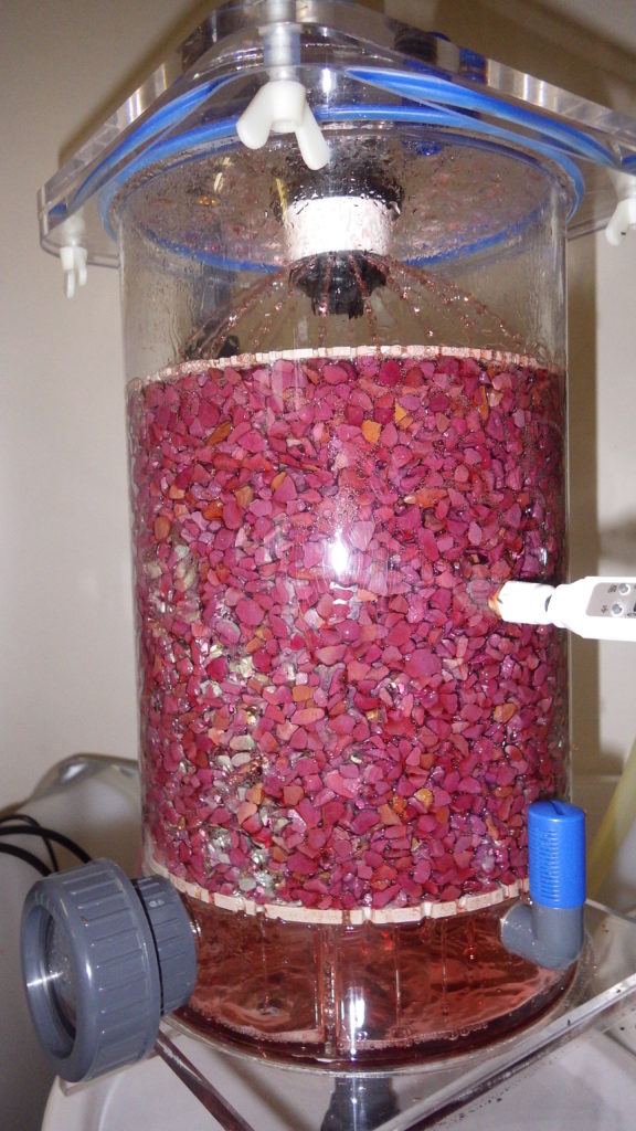 How to Make Wine Vinegar Fermenting Vinegar at Home