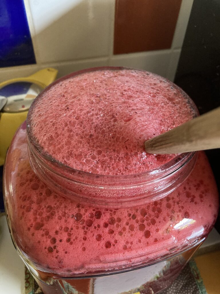 Floating Fruits in Vinegar Mash
